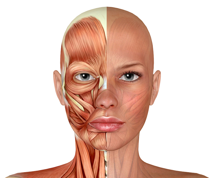 What Is Head and Neck Reconstruction