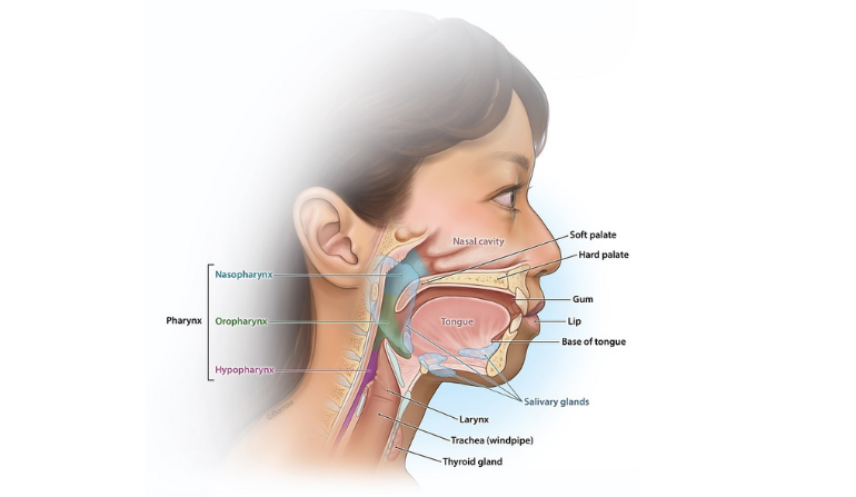 Head & Neck Reconstruction Surgery in Mumbai by Dr. Vinay Jacob at the Reconstructive Surgeons